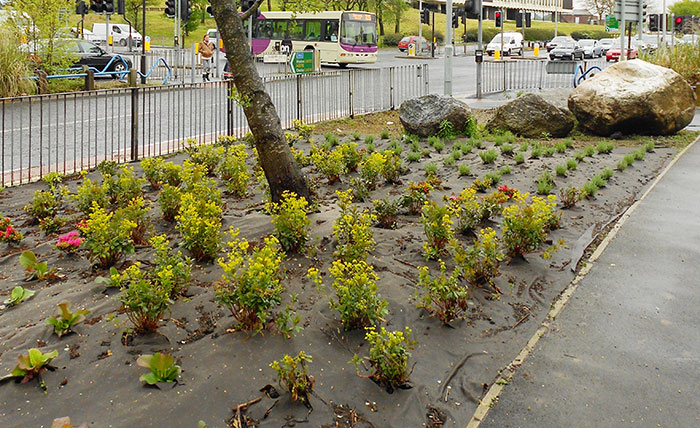 Manta antihierba biodegradable en jardín público