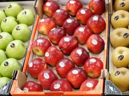 Manzanas en poscosecha