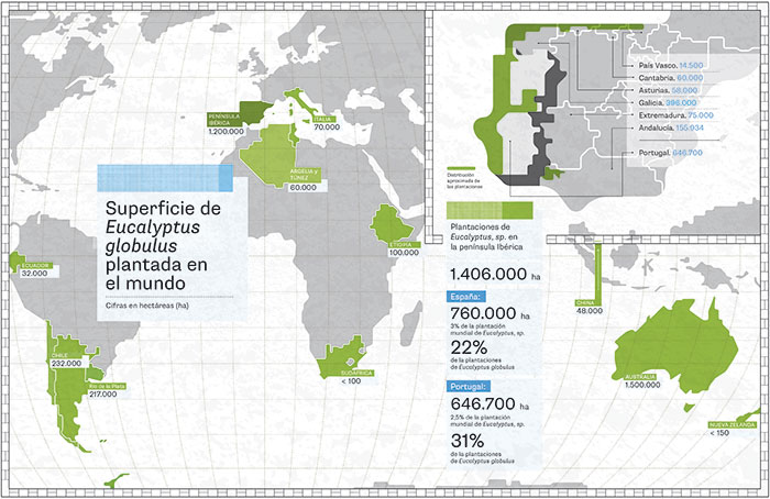 Mapa informe del Eucalyptus a nivel mundial