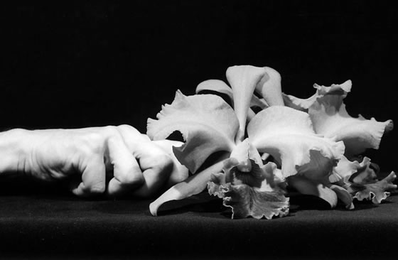 mapplethorpe-2-1