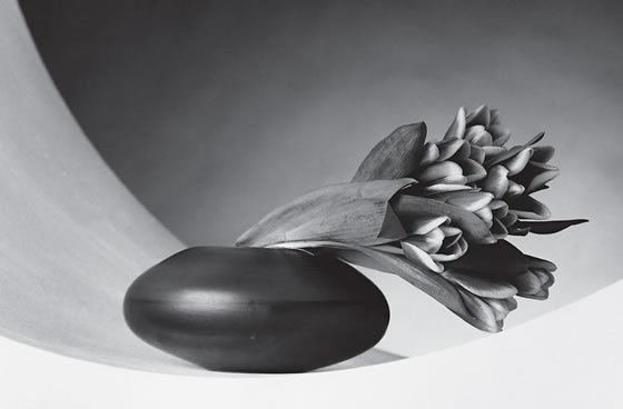 mapplethorpe-3-1