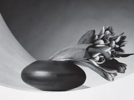 Mapplethorpe