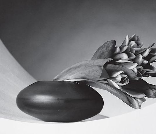 Mapplethorpe