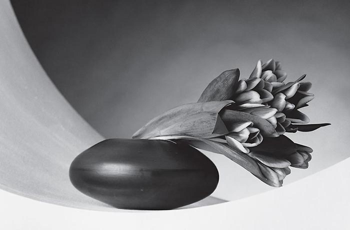 Mapplethorpe