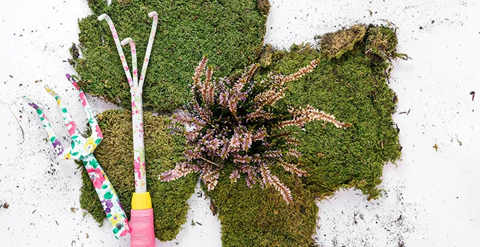 Materiales para hacer plantas en kokedama