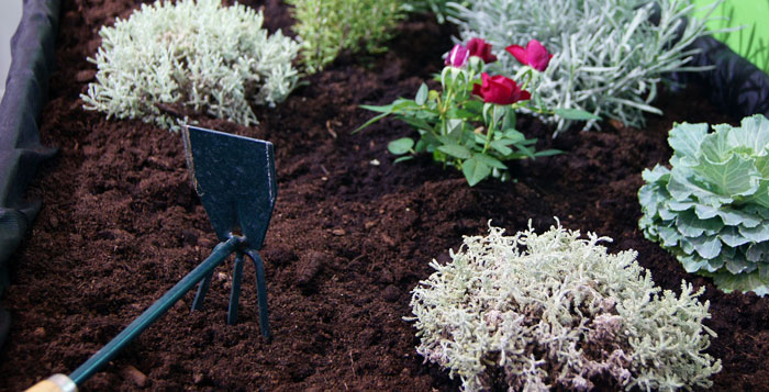 Mesa de cultivo para huertos urbanos