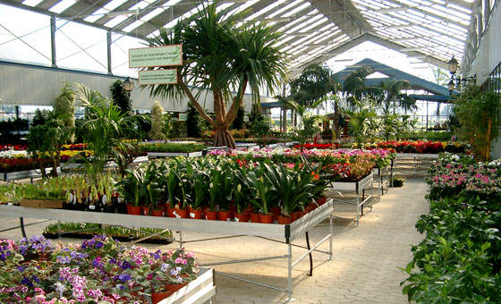 Mesas de exposición