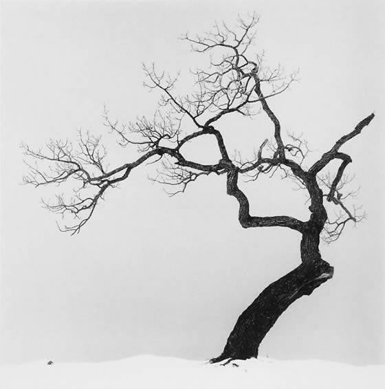 michael_kenna