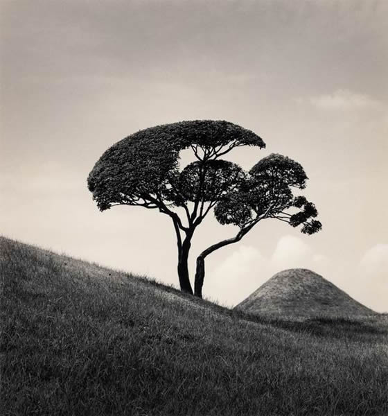 michael_kenna_2