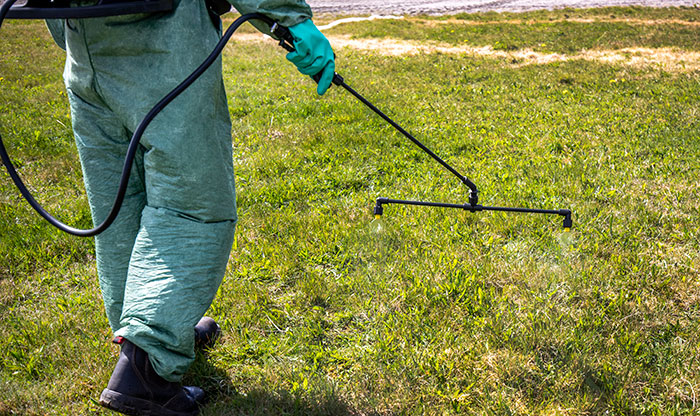 Mochila pulverizadora eléctrica para aplicar insecticidas