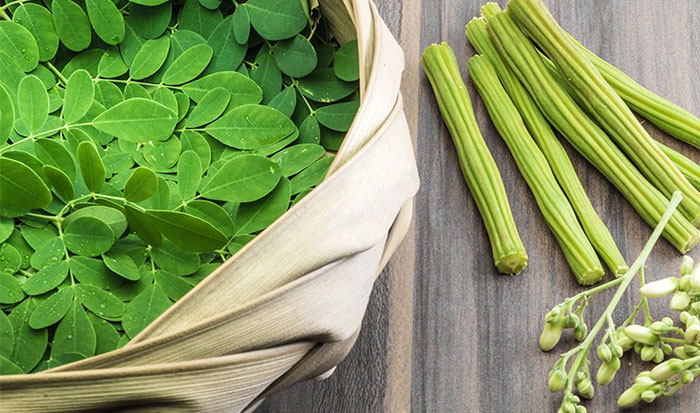 Moringa oleifera