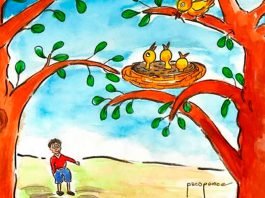 Nido en arbol 1