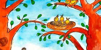 Nido en arbol 1