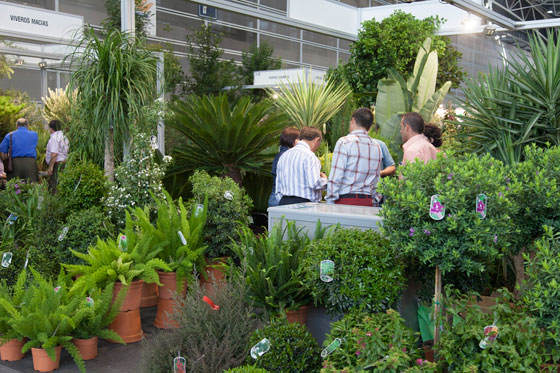 Compradores internacionales de flores y plantas