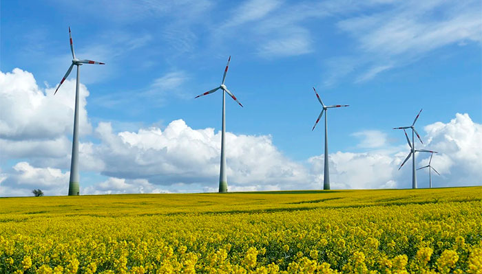 Paisaje agrícola