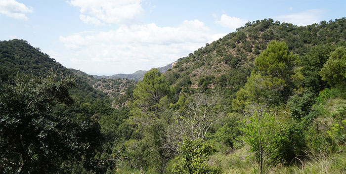 Paisaje de montes