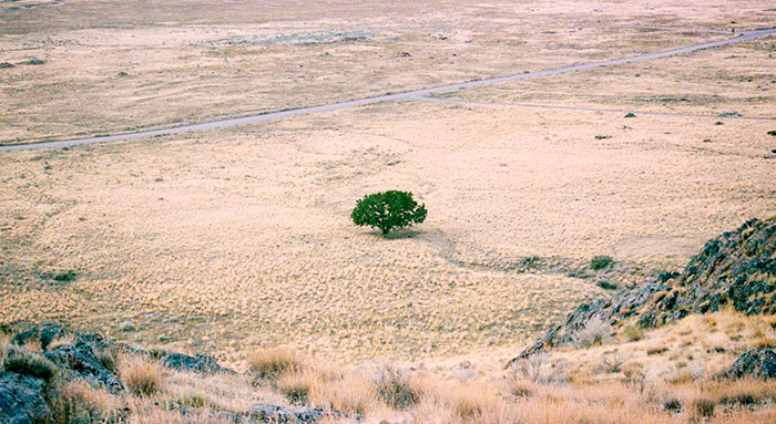 Paisaje desértico de interior