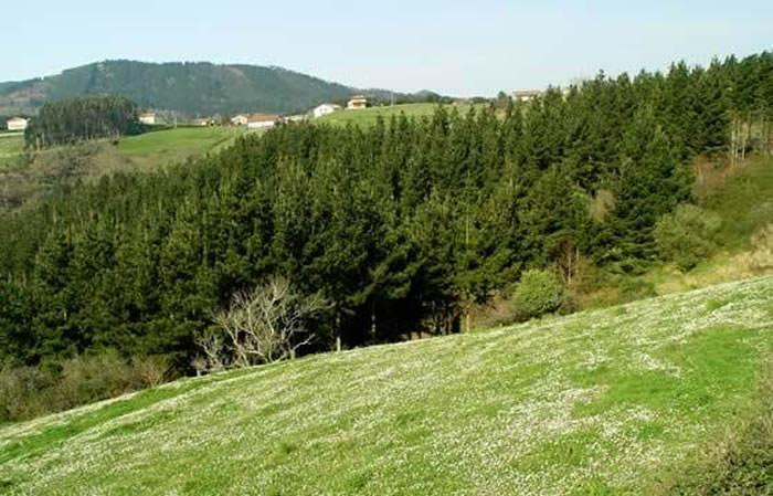 Paisajes del urdaibai