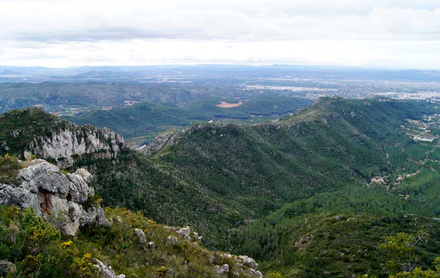 Paraje Natural de La Murta