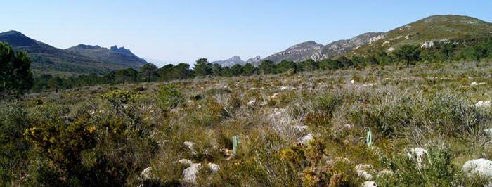 Paraje Natural la Casella