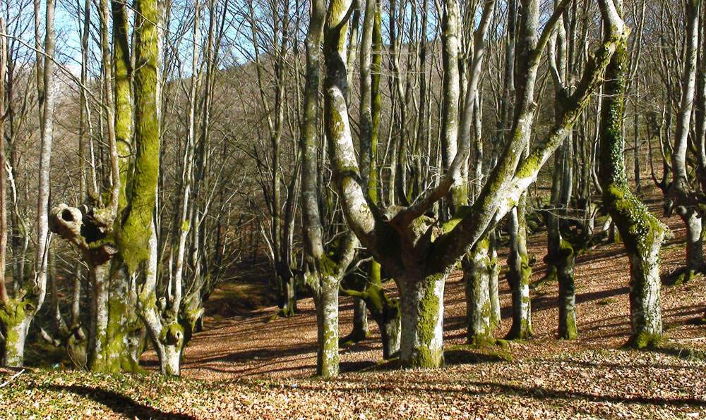 El Parque Natural de Urkiola