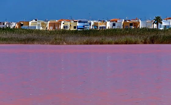 Parque Natural de las Lagunas de La Mata y Torrevieja