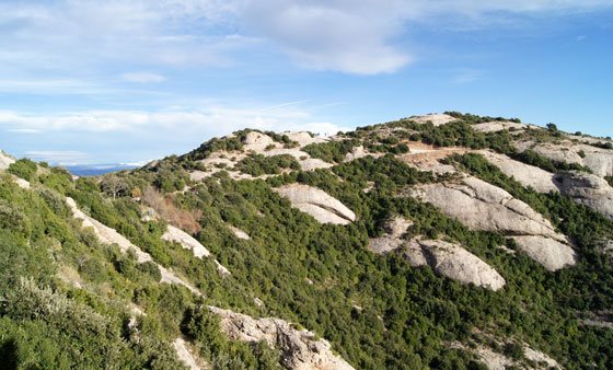 Parque Natural Macizo de Montserrat 