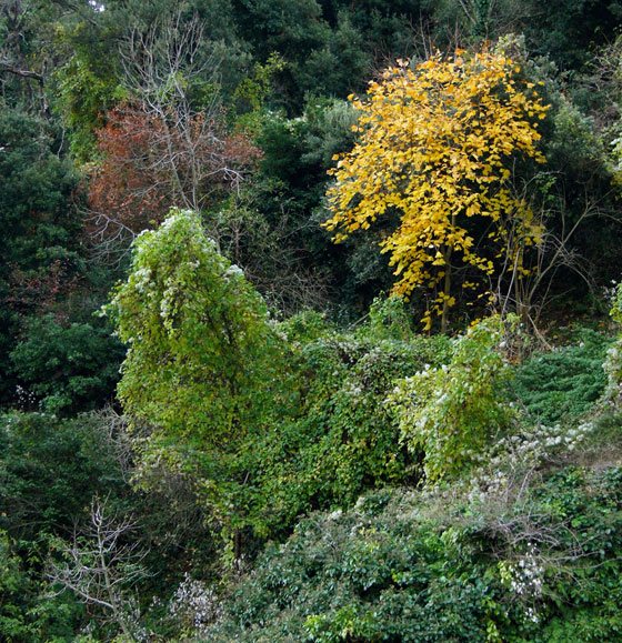 Parque Natural Macizo de Montserrat 