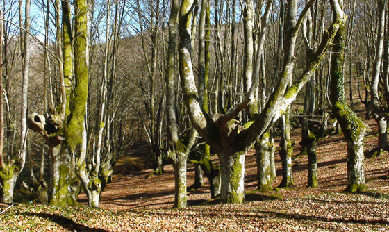 parque-natural-urkiola.jpg