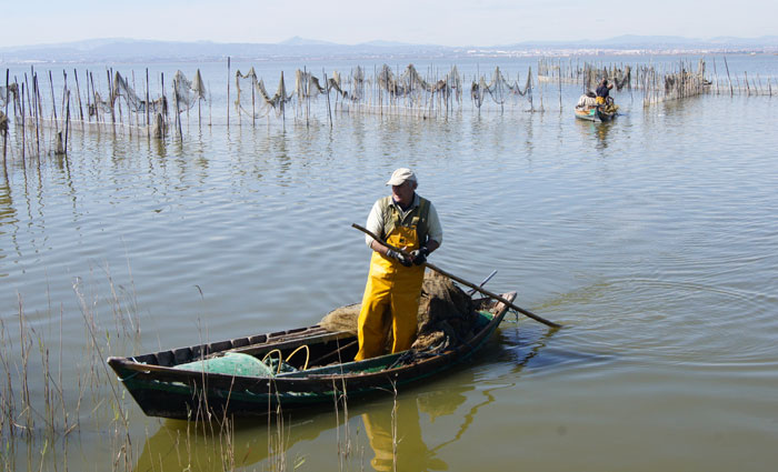 Albufera de Valencia