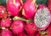 pitahaya, fruta del dragón