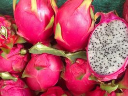pitahaya, fruta del dragón