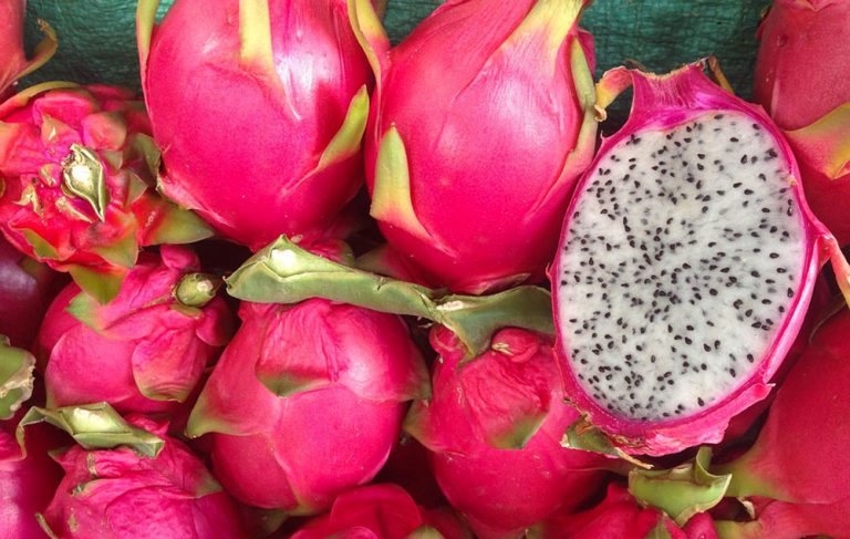 pitahaya, fruta del dragón