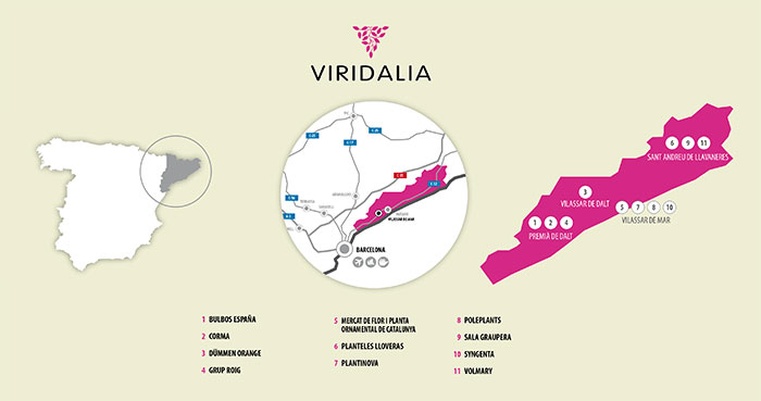 Plano de empresas en Viridalia 2022