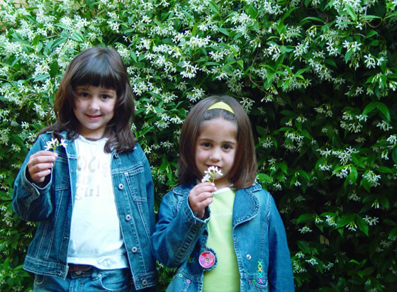 María y Silvia junto a la trepadora Trachelospermum jasminoides