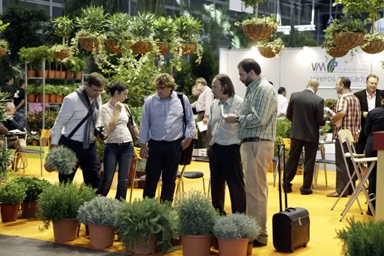 Plantas aromáticas en Iberflora