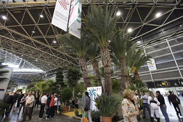 plantas de iberflora