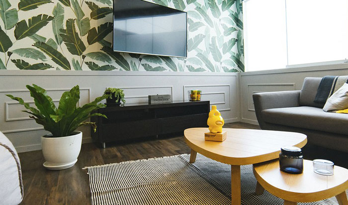 Plantas para apartamentos