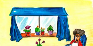 Plantas interior 1