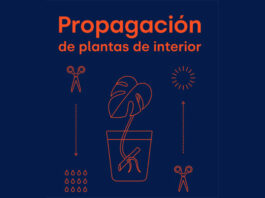 Portada de Propagación de plantas de interior