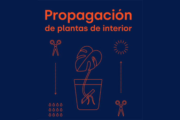 Portada de Propagación de plantas de interior