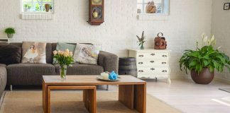 Plantas para apartamentos