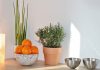Plantas para cocinas modernas