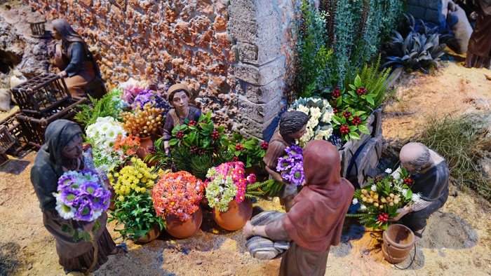 Plantas en la decoración de belenes