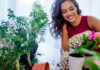 Plantas para mejorar el aire de casa