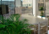 Plantas para oficinas
