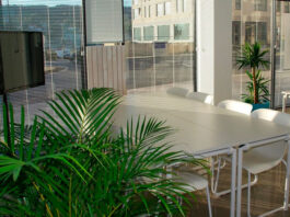 Plantas para oficinas