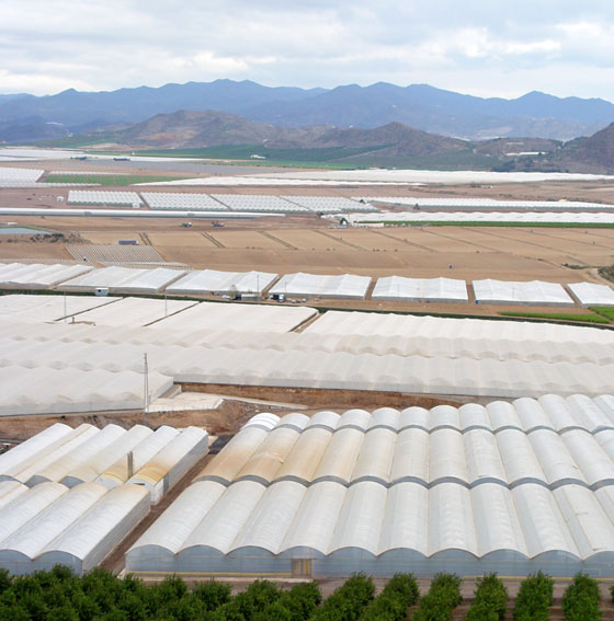 Plásticos para la agricultura