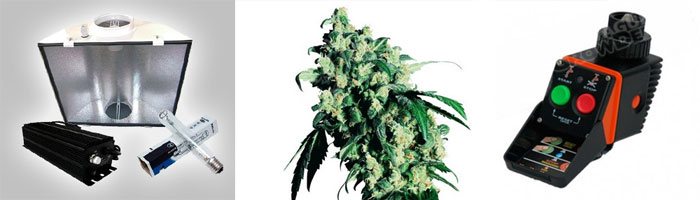 Productos para cultivar cannabis