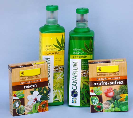 Cuidados de la Marihuana